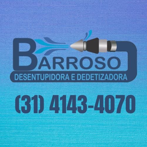 desentupidora barroso