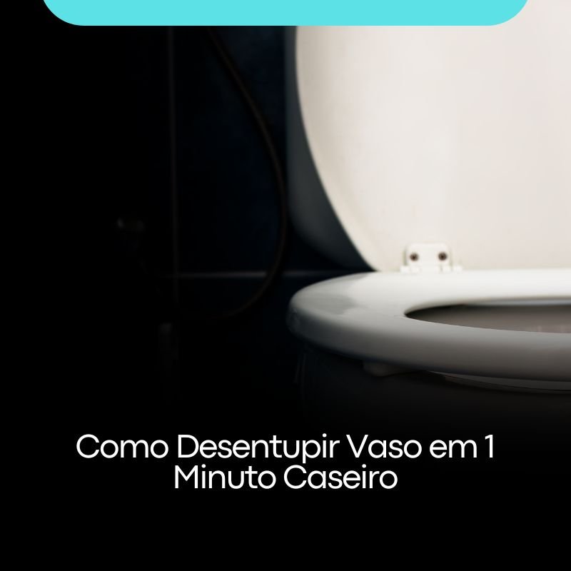 Como Desentupir Vaso em 1 Minuto Caseiro