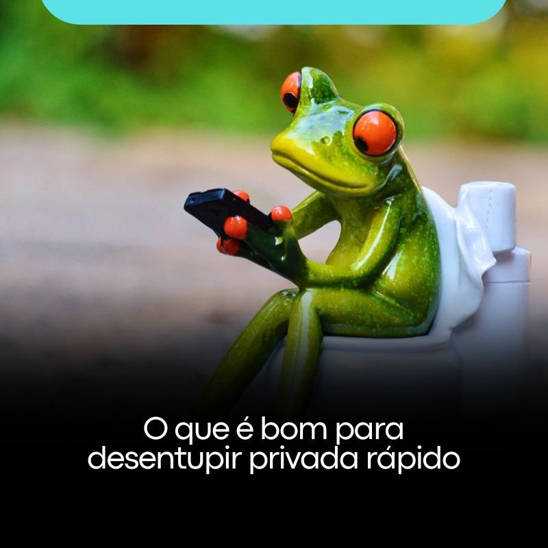 O que é bom para desentupir privada rápido