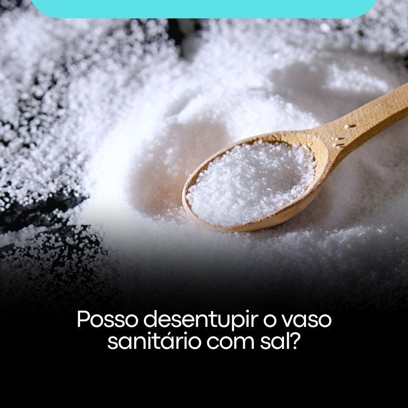 Posso desentupir o vaso sanitário com sal?